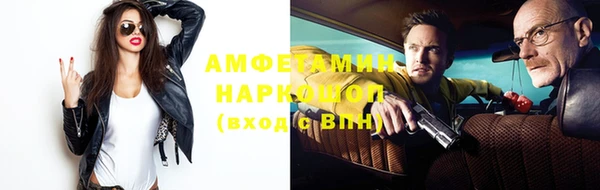 индика Алексин