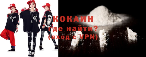 индика Алексин