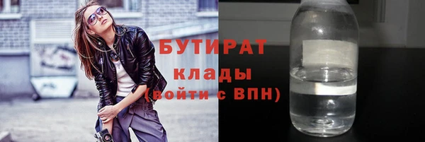 индика Алексин