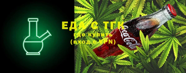 индика Алексин