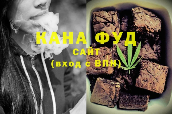 индика Алексин